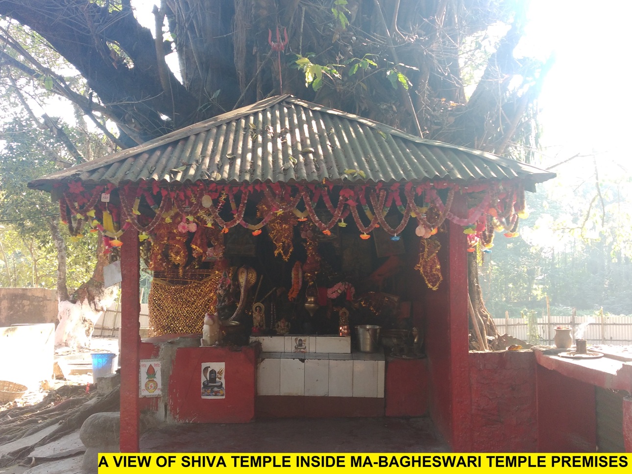 Bagheswari Temple