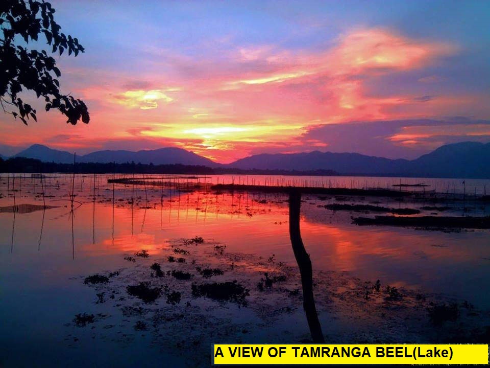 Tamrannga Beel (Lake):