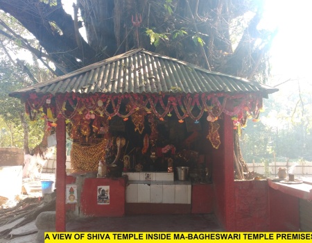 Bagheswari Temple